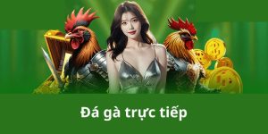 đá gà trực tiếp