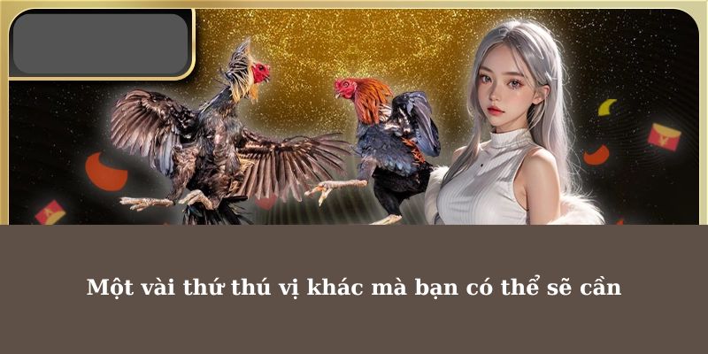 Một vài thứ thú vị khác mà bạn có thể sẽ cần