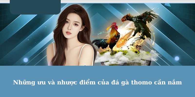 Những ưu và nhược điểm của đá gà thomo cần nắm