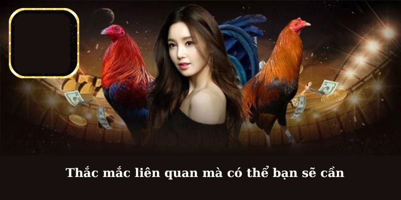 Thắc mắc liên quan mà có thể bạn sẽ cần